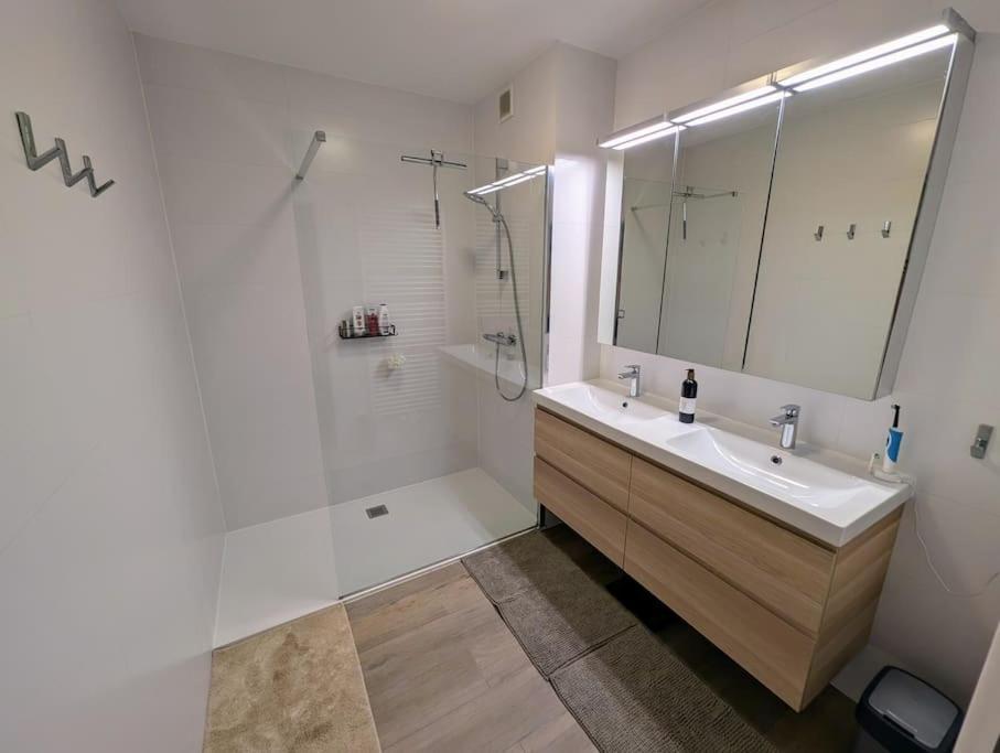 Superb Near Appartement Antwerpen